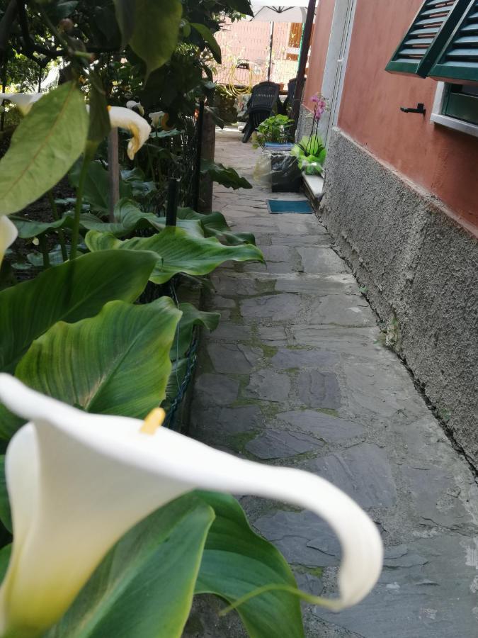 A Ca Du Barba Apartment Monterosso al Mare Exterior foto